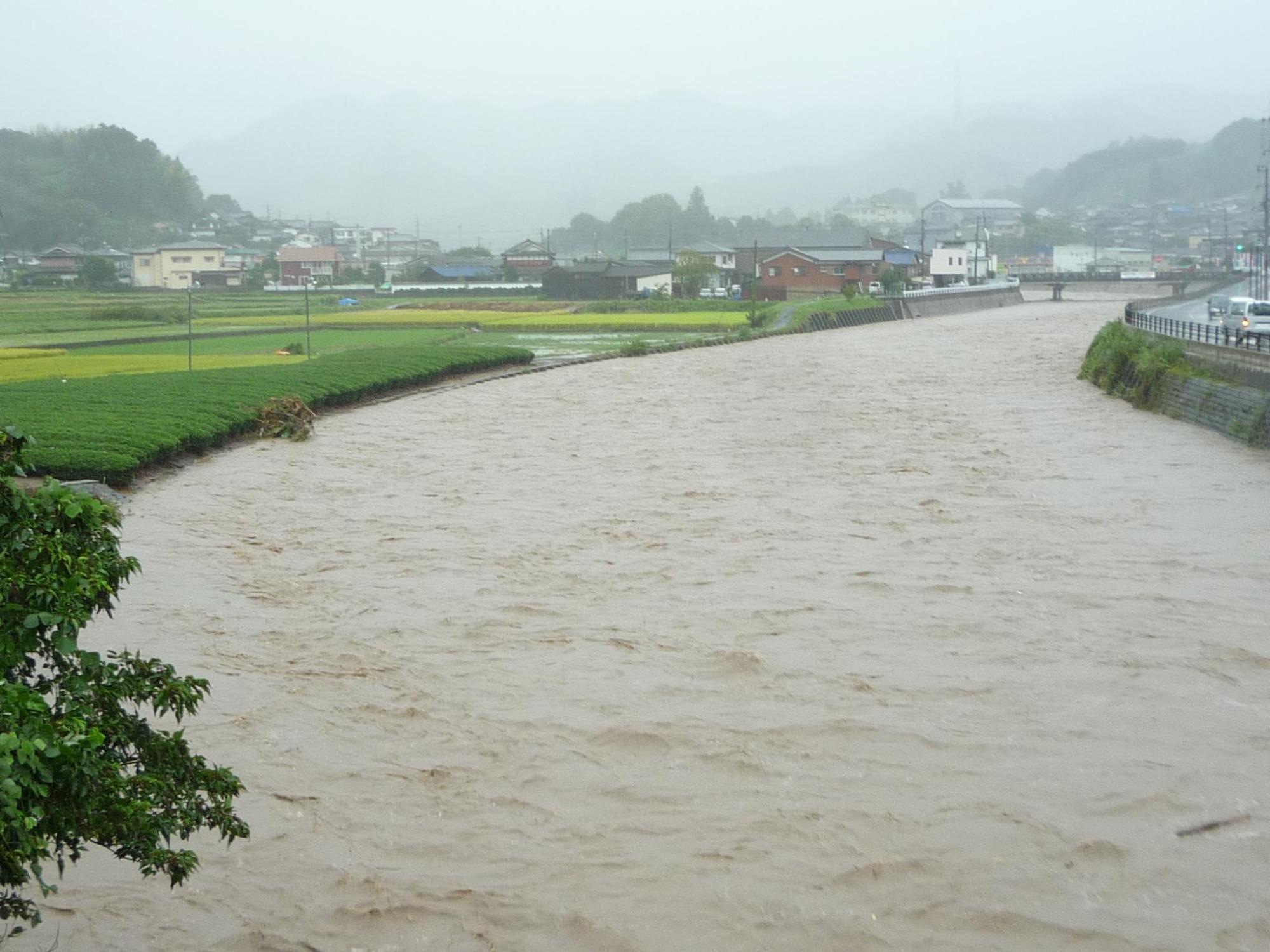 茶色く濁った川が今にも氾濫しようとしている写真