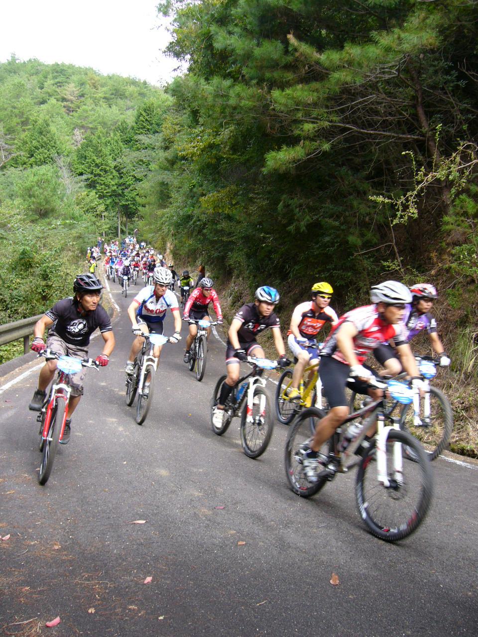 ヘルメットを被りマウンテンバイクに乗った選手たちが木々に囲まれた道を駆け抜けている写真