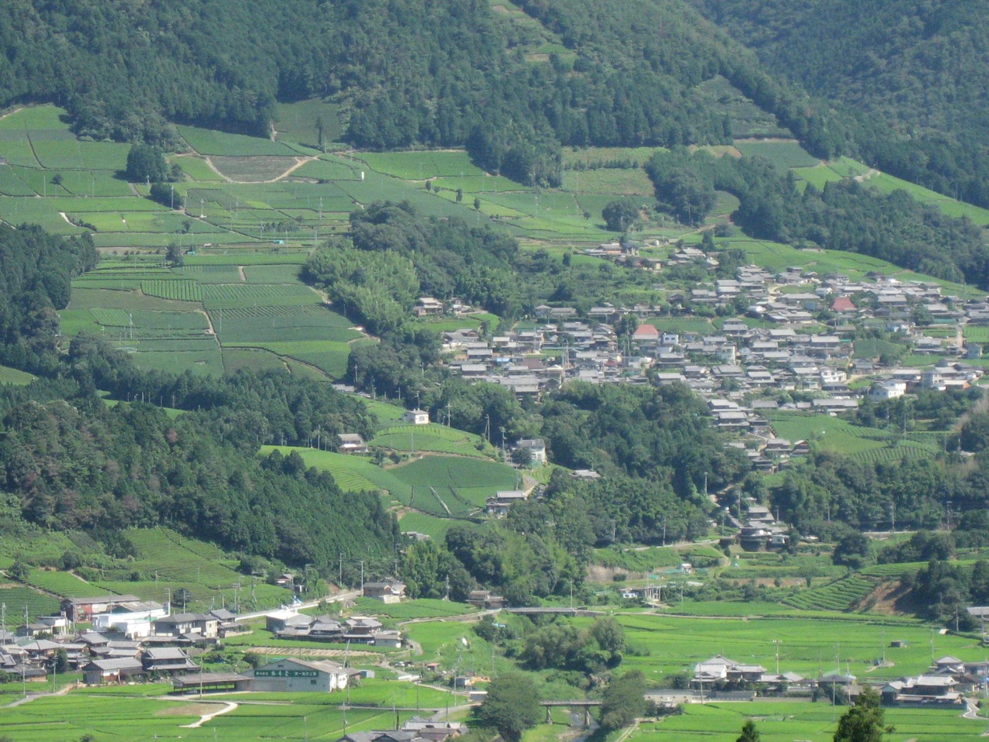 高所から見下ろした和束町の写真