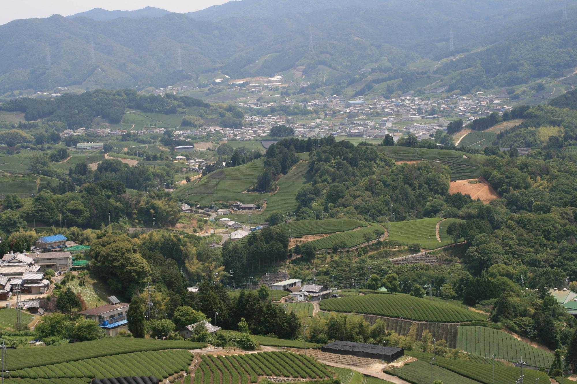 高所から見下ろした和束町の全景の写真