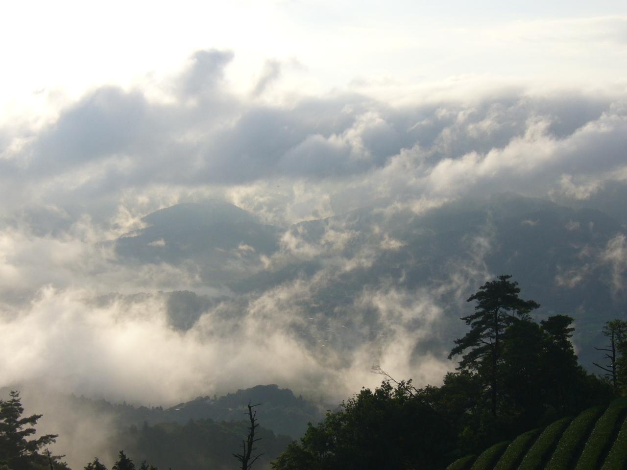 茶畑から撮影した雲が沢山ある上空の写真