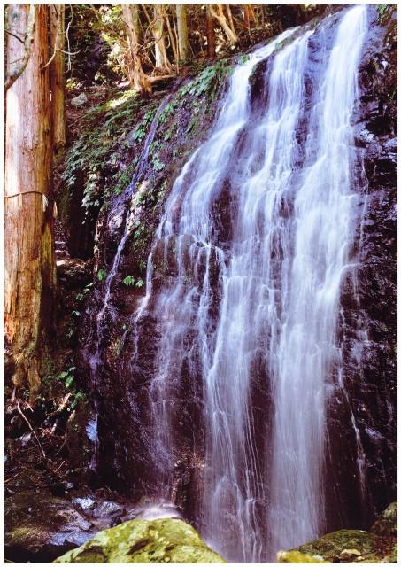 和束町の五光の滝の写真